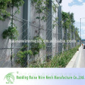 Edelstahl Seil Mesh Netz für grüne Pflanze Wand Klettern